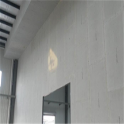 黄陵宁波ALC板|EPS加气板隔墙与混凝土整浇联接的实验研讨